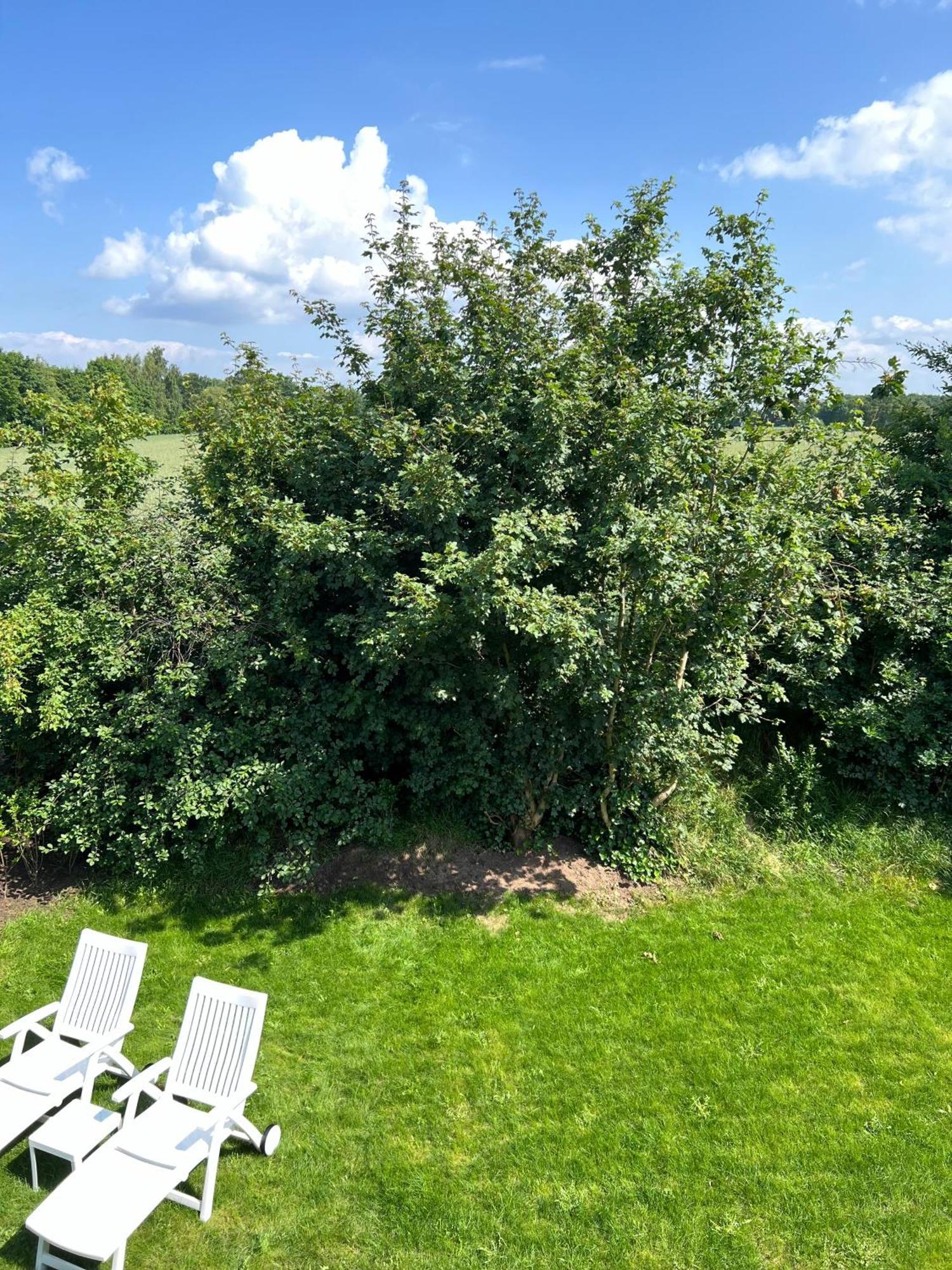 Haus Schoensee Heede Exteriér fotografie