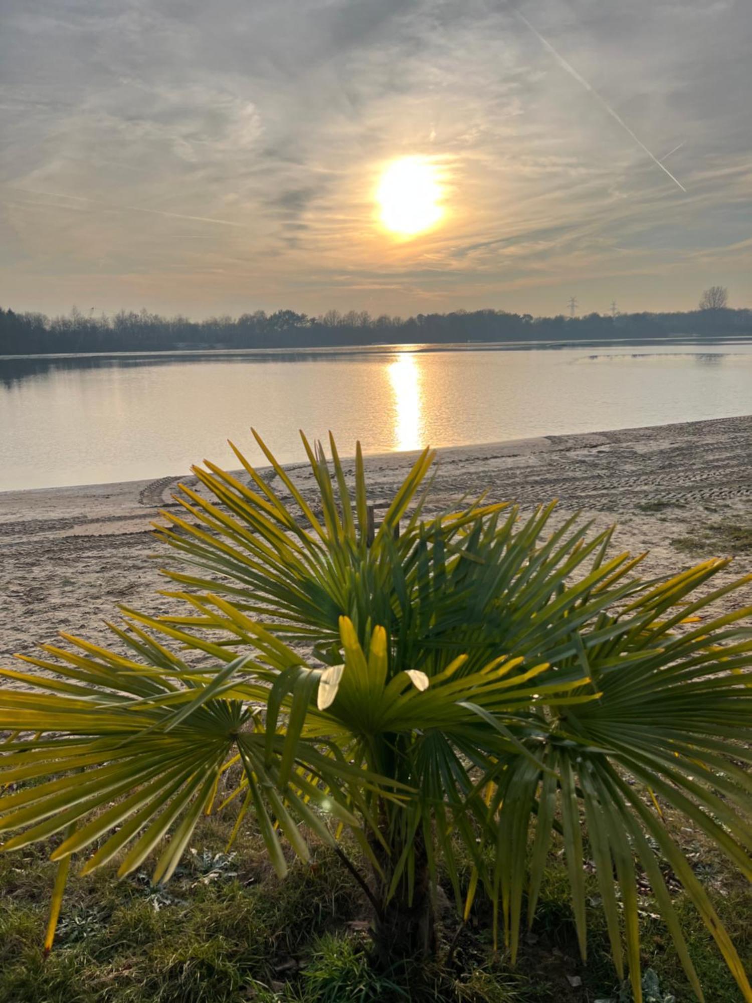 Haus Schoensee Heede Exteriér fotografie